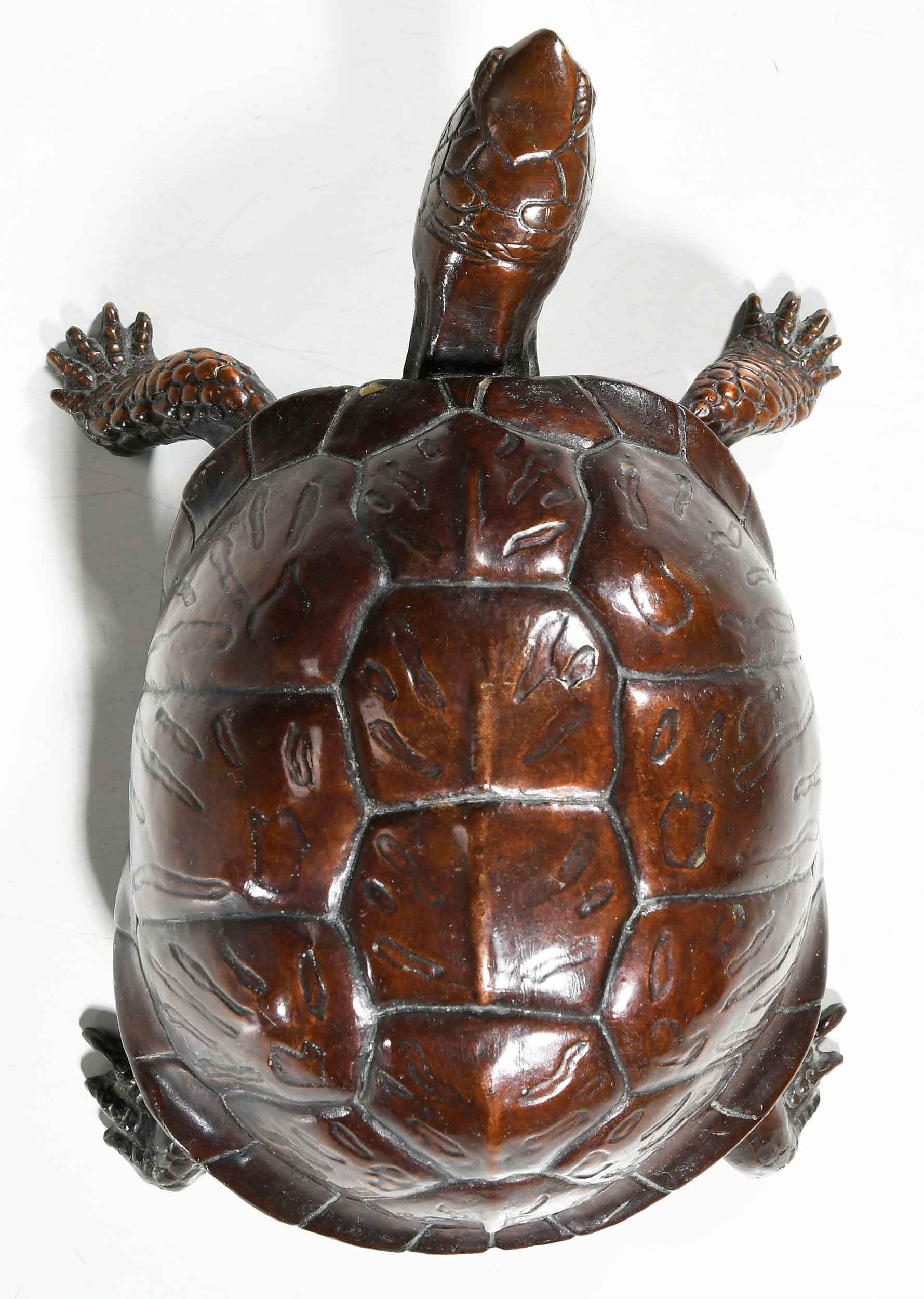 Bill Hunt | Box Turtle (1994) | MutualArt