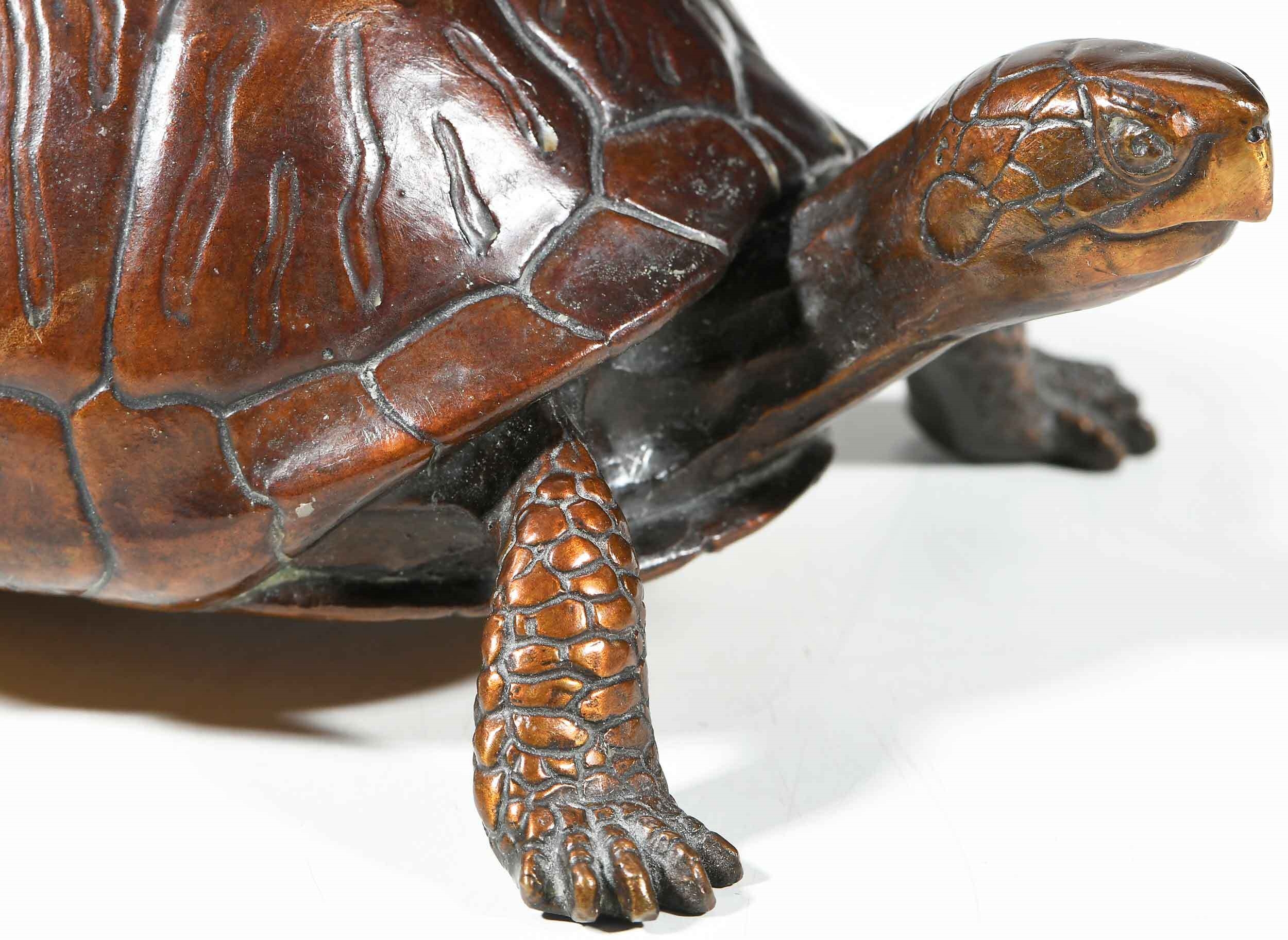 Bill Hunt | Box Turtle (1994) | MutualArt