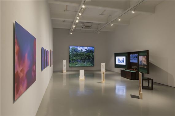Cuttings - Mizuma Gallery, Singapore