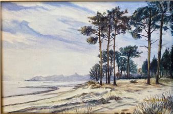 Les pins en bord de mer - Francois Le Teich
