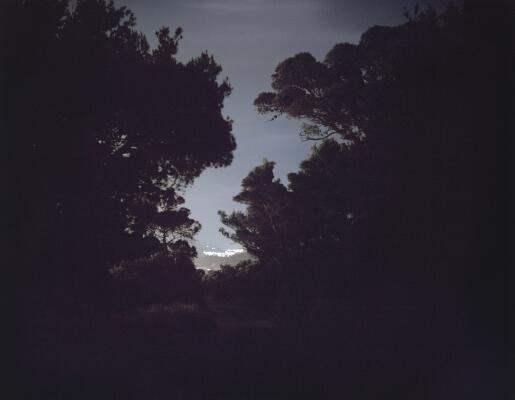 Artwork by Adam Jeppesen, “HR Dubrovnik 05.26.05”, Made of C print