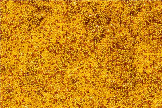 21000 - Galerie Lange & Pult, Auvernier 