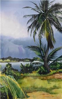 Palm trees on coast; Colorful tree - Sharon Howe Myers