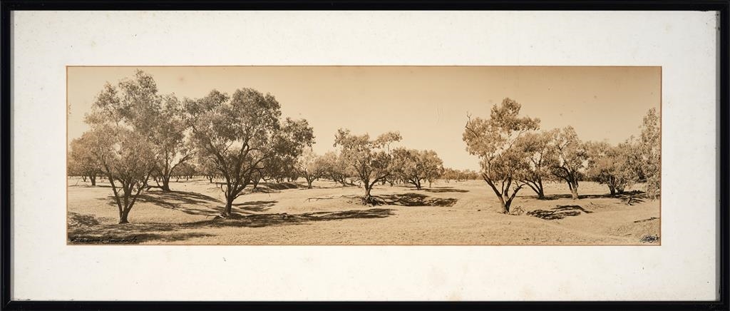 Artwork by Wesley Stacey, Landscape Panoramas, Made of prints