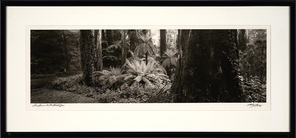 Artwork by Wesley Stacey, Landscape Panoramas, Made of prints