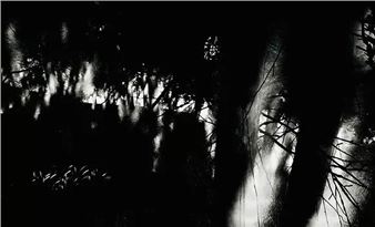 Dennis Del Favero: Beyond the Night - Galerie Brigitte Schenk