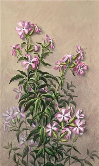 Flora - Lucia Smith Bliss