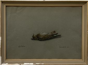 &quot;Allodola&quot; e &quot;Strillozzo&quot; - Giuseppe Cardillo