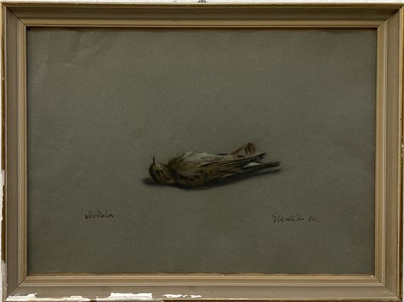 "Allodola" e "Strillozzo" - Giuseppe Cardillo