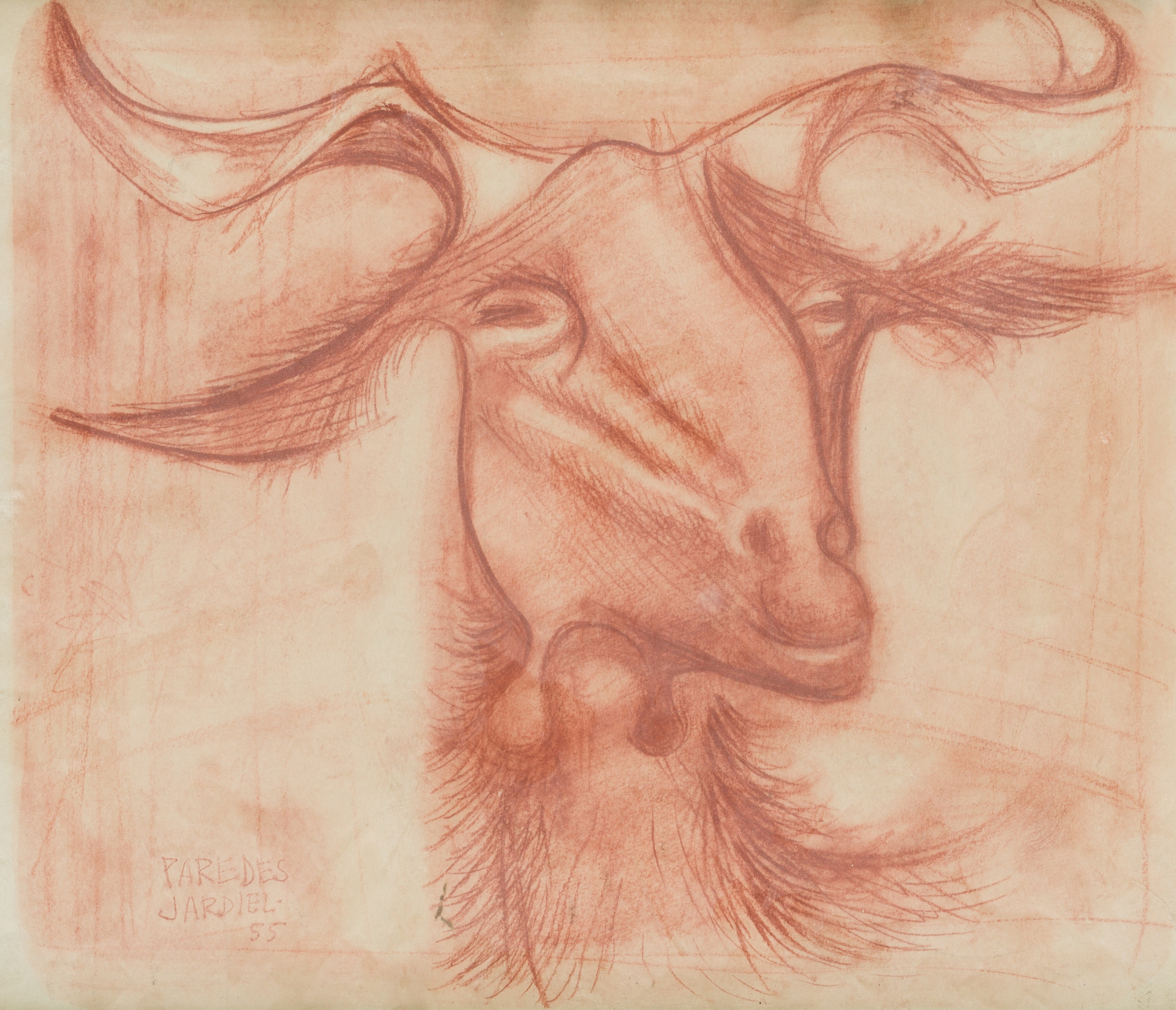 Artwork by José Parades Jardiel, Una cabra, Made of Red chalk on paper