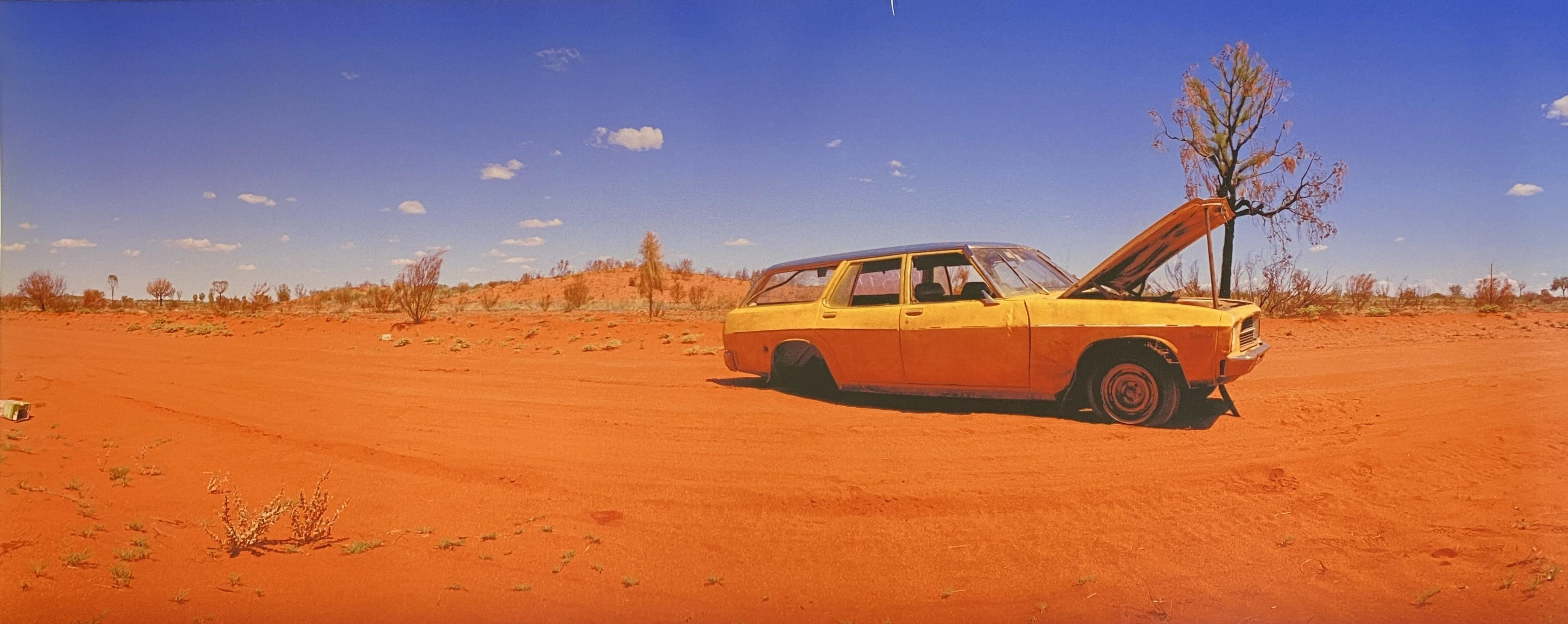 Joyce Evans Desert Car on Gunbarrel Highway 1991 (1991) MutualArt