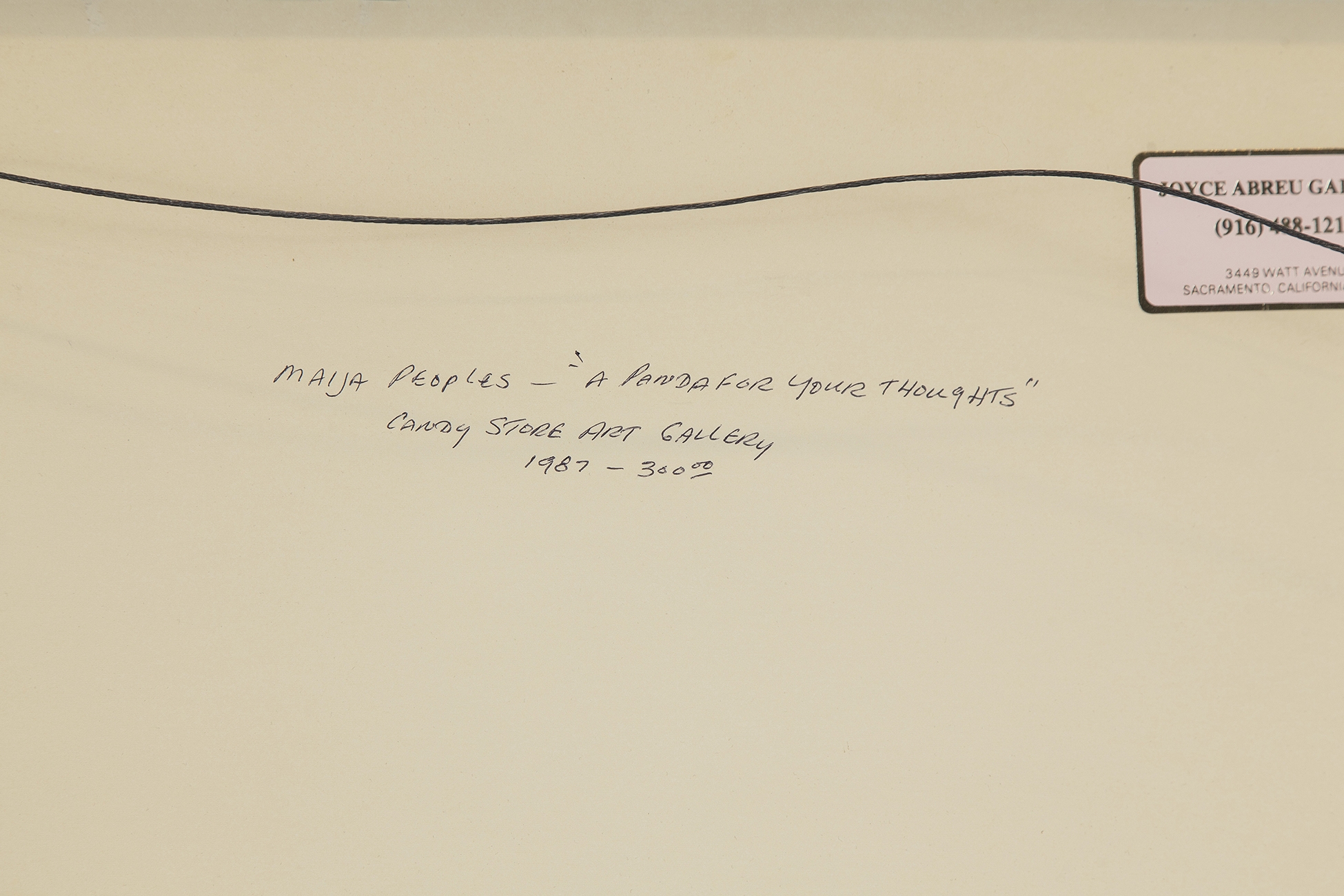 Maija Peeples-Bright | A Panda For Your Thoughts (1987) | MutualArt