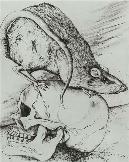 Günter Grass | RAT ON A SKULL | MutualArt