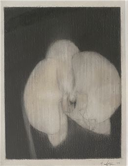 Orchid III - Max Linegar