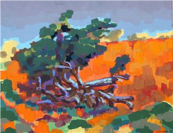 TREE ON SAND DUNE NEAR RIETFONTEIN - Keith Denzil Ashborn