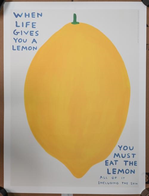 David Shrigley When life gives you a lemon you must eat the lemon