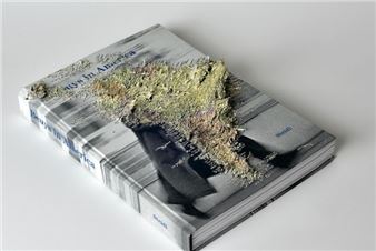 Jonathan Callan: Strange Relations - Hopstreet Gallery, Brussels