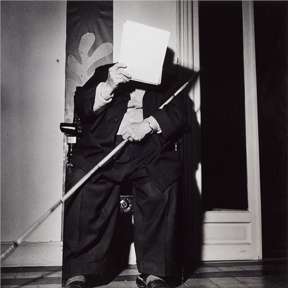 Matisse by Lennart Nilsson