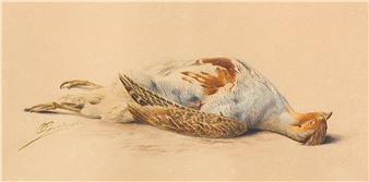 KUROPATWA - Olga Grabowska