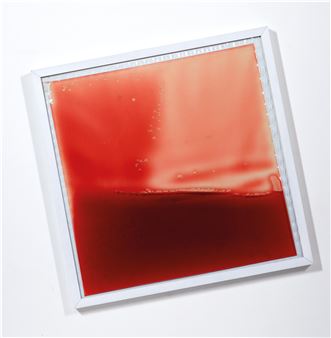 Tavola di possibilita liquide, 1959-2015 - Giovanni Anceschi