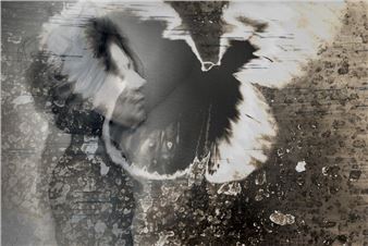 Dianne Kittle: The Marvelous, Transformation Of The Ordinary - Perspective Gallery