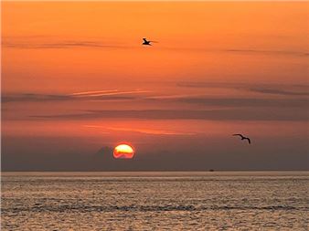 Welcome Back - Galerie Alain Gutharc