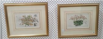 A PAIR OF HANDCOLOURED 19TH CENTURY BOTANICAL PRINTS - Michael Marriott