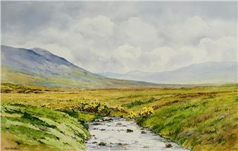 Twelve Bens, Connemara - Cyril Mulkernes