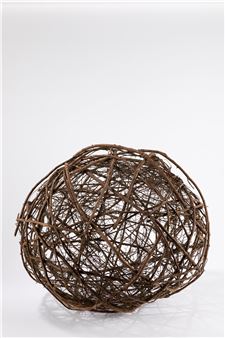 Spora vegetale - Giuliano Mauri