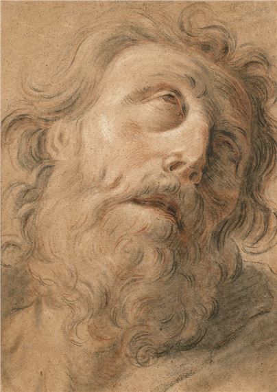 Tête de vieil homme barbu regardant vers le haut by Italian School, 18th Century