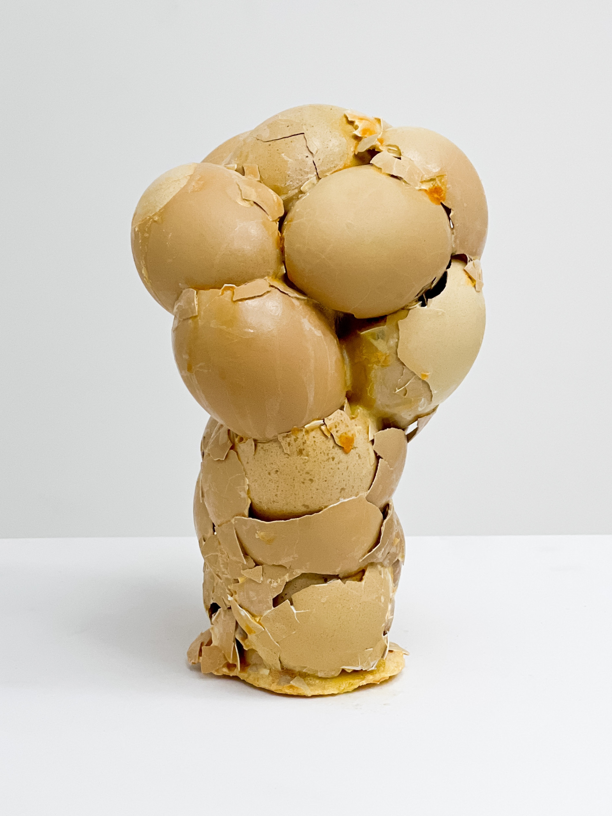 Tim Hawkinson | Fist (2009) | MutualArt
