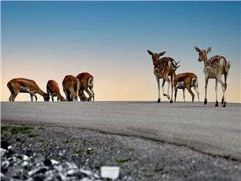 September 2022 Open Exhibit -  The Art League Gallery