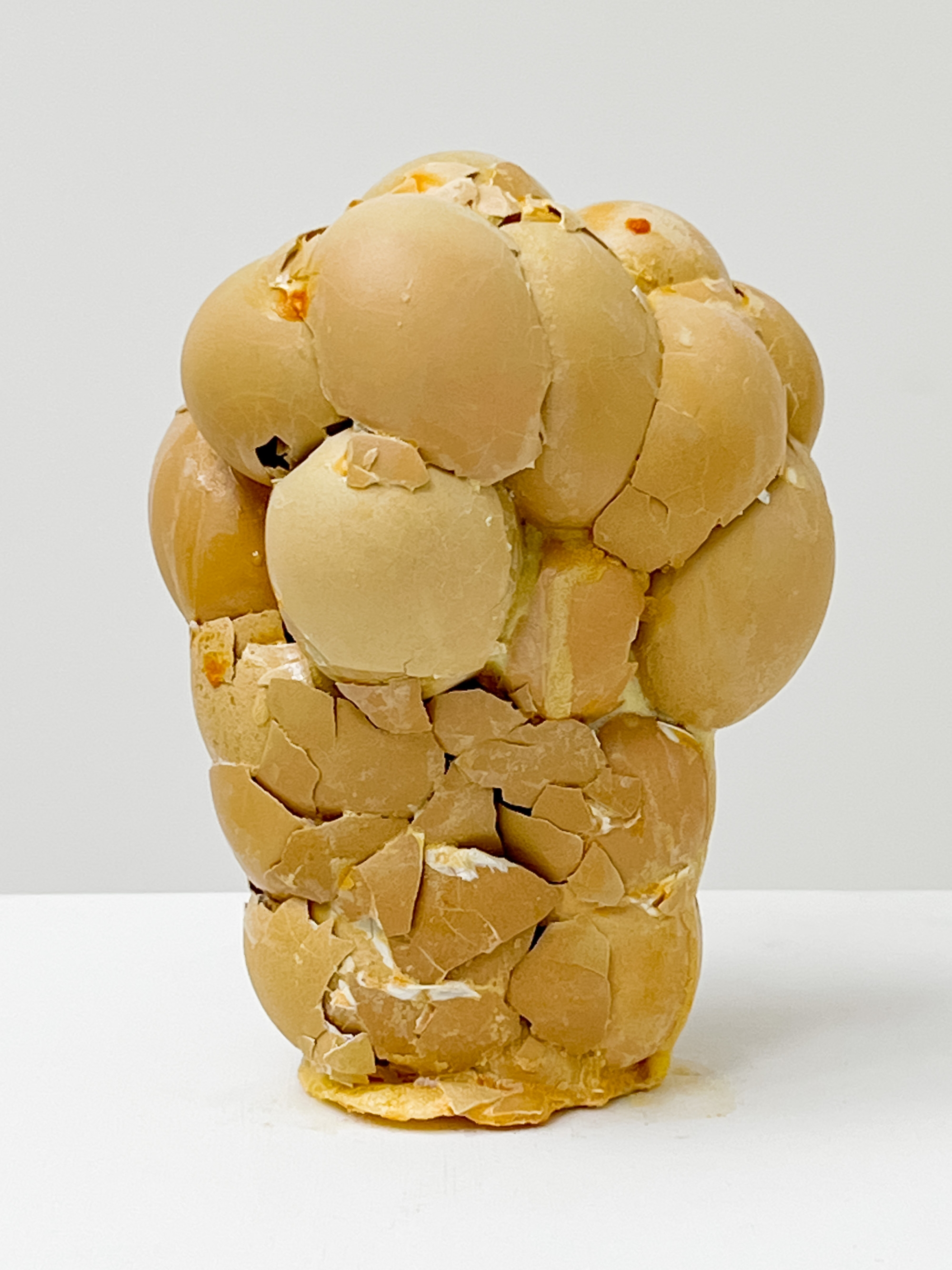 Tim Hawkinson | Fist (2009) | MutualArt