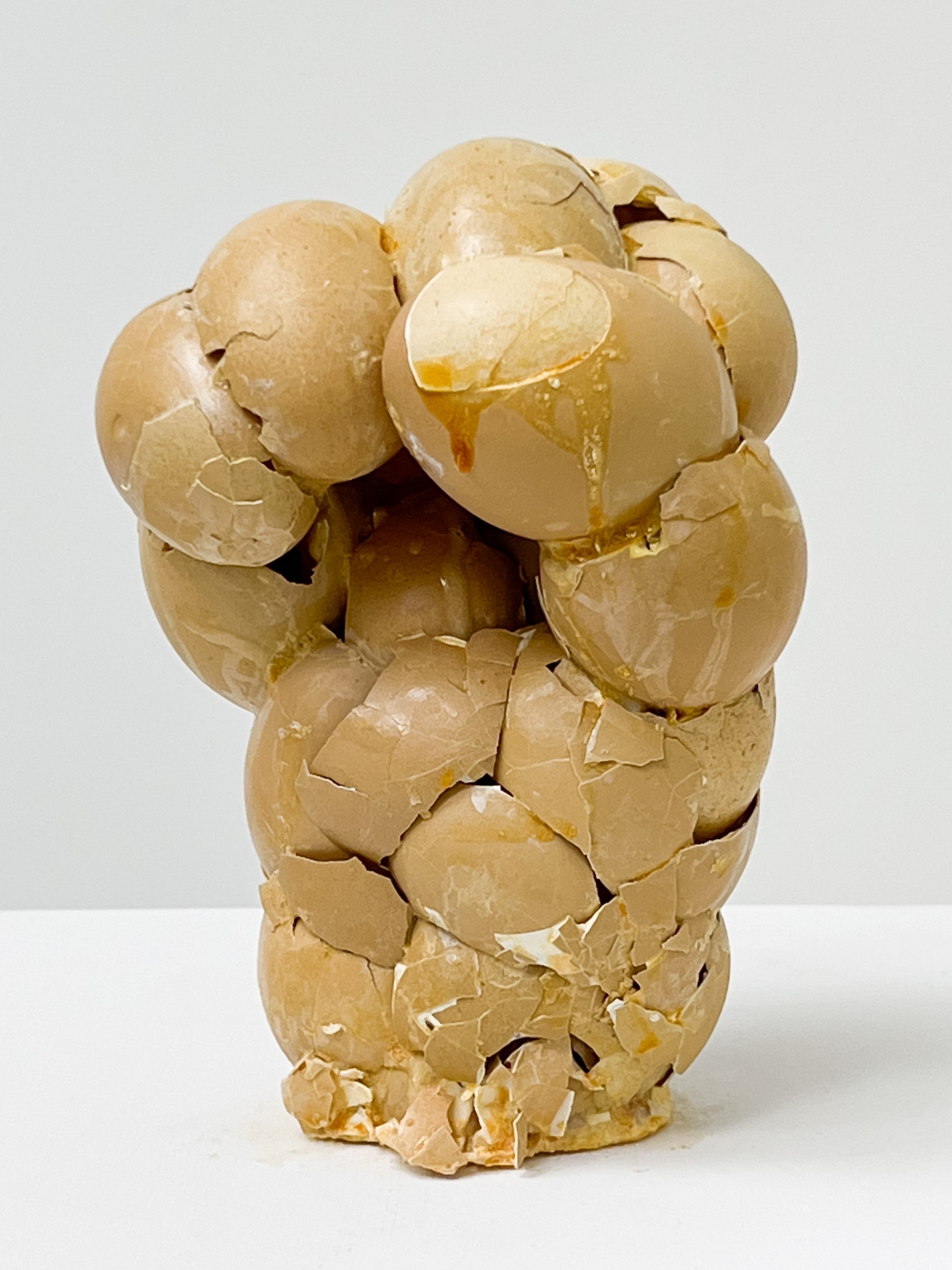 Tim Hawkinson | Fist (2009) | MutualArt