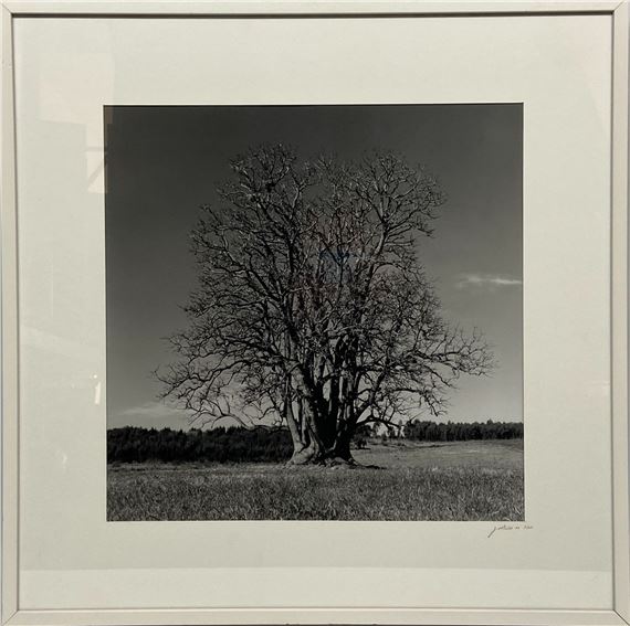 Jose Risso | 2 Artworks | MutualArt