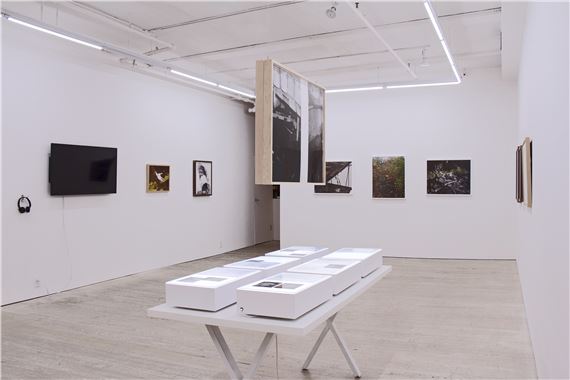 All Texts About Love - Microscope Gallery