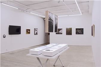 All Texts About Love - Microscope Gallery