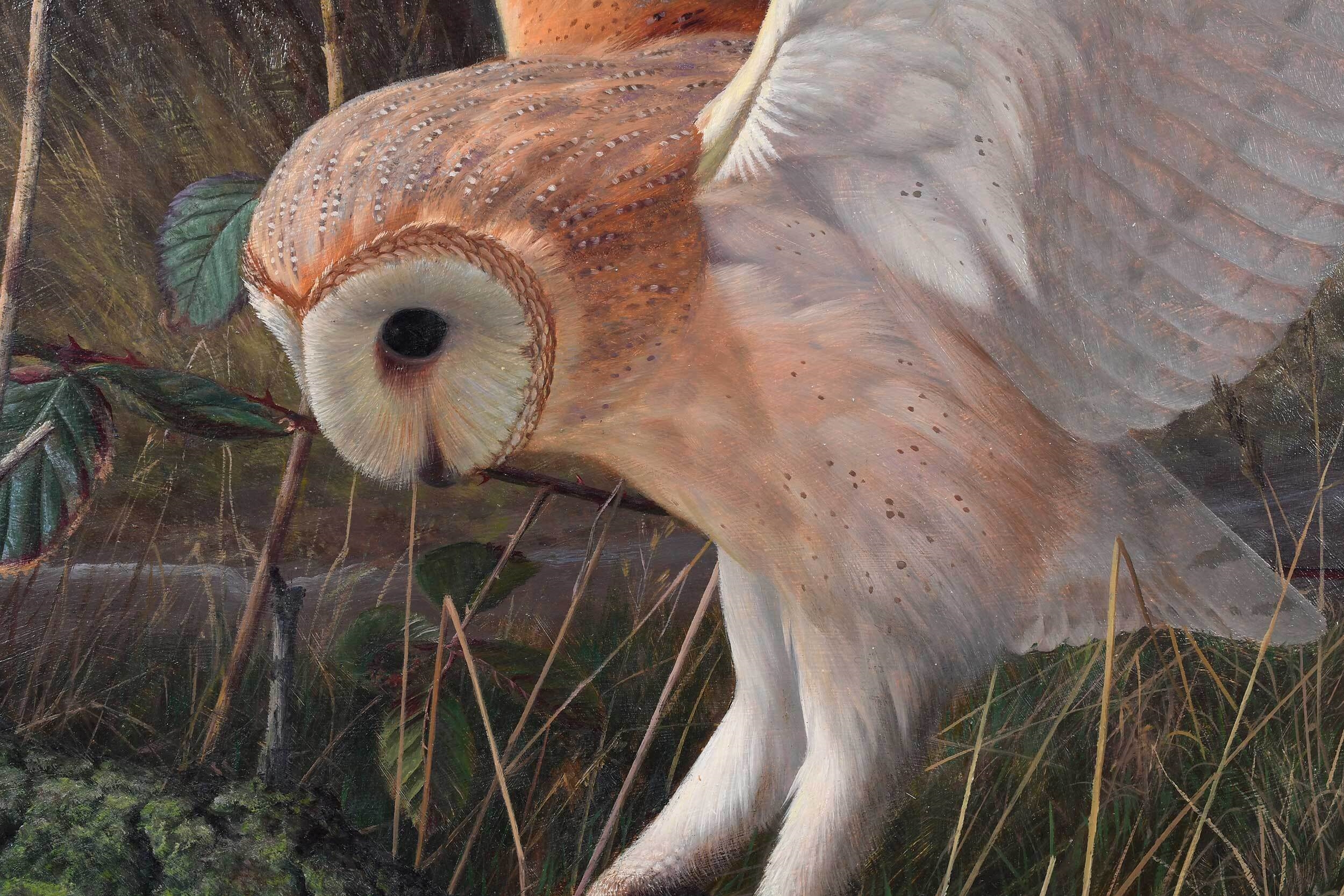 Raymond Booth | Barn Owl on a Winter Evening (1982) | MutualArt