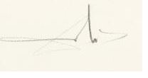 Salvador Dalí signature on Drypoint etchings with stencil, 1974.