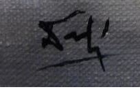 Salvador Dalí signature.