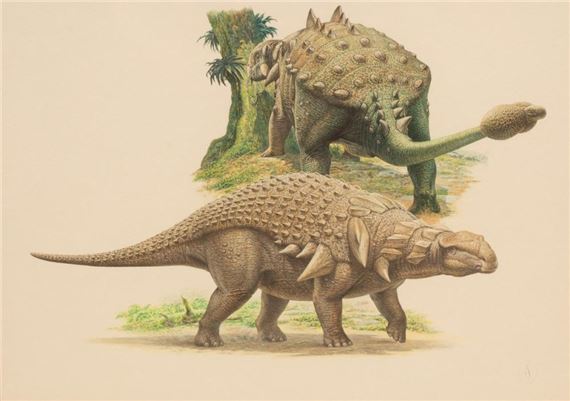 Two Ankylosaurs