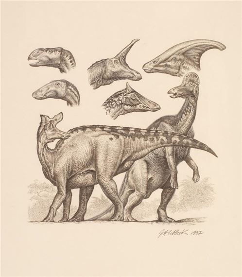 Studies of Hardrosaurs
