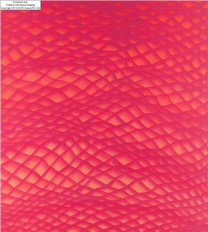 From the series 'Hylemorphism' - Kinga Popiela