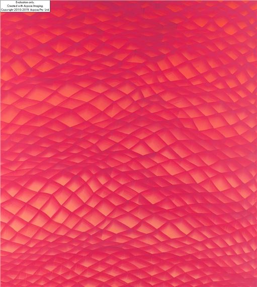 From the series 'Hylemorphism' by Kinga Popiela, 2019