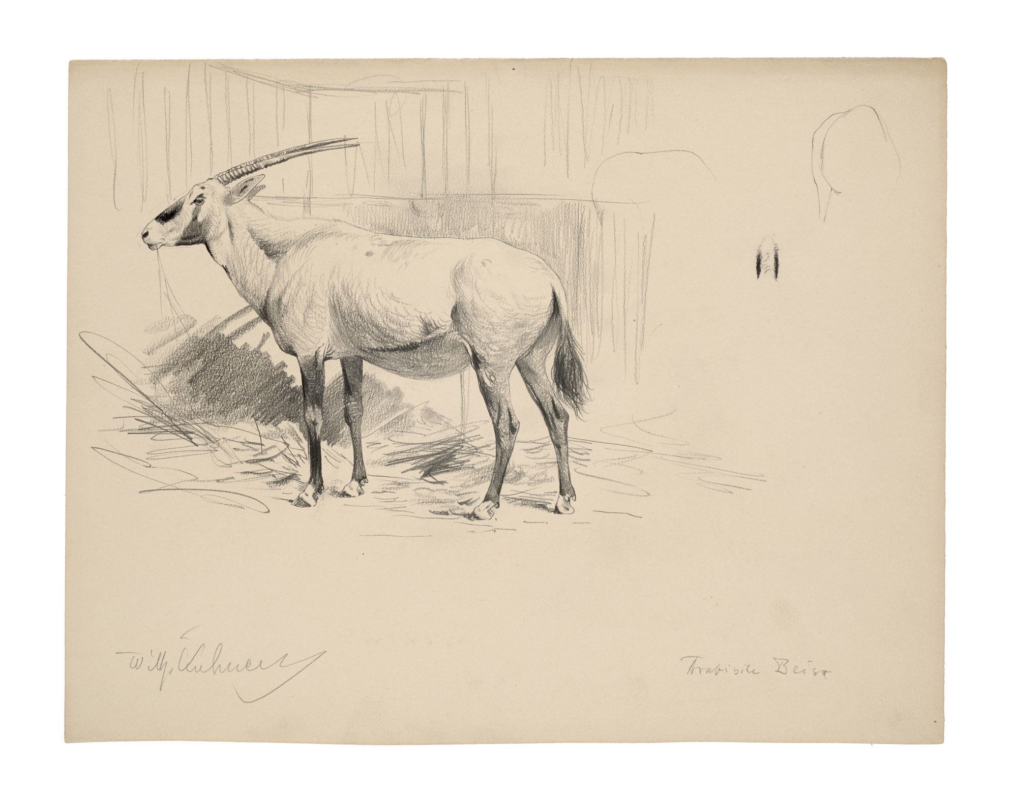 Wilhelm Kuhnert | Arabische Beise (Arabische Onyx) | MutualArt