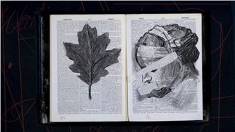 Fragilités - Galerie Rudolfinum