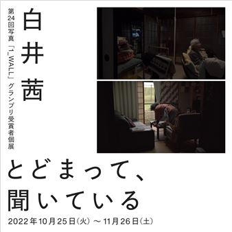 Akane Shirai: Standing Still, Listening - Guardian Garden