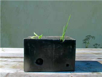 Von Wegen - Kunstverein Schwerin