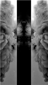 Rocío Romero Grau: Interregnum - Pallas Projects