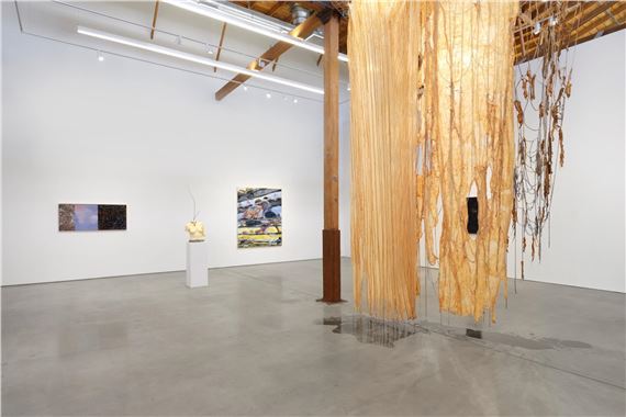 Durian on the Skin - François Ghebaly, Los Angeles (Downtown)